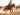 Cowboy loping a sorrel horse in a dusty arena while riding with a leather training fork
