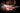 Wither Strap