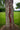 Steer Tripping Collar 2 7/8" Countoured