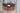 Prairie Luxe Wristlet/Crossbody :139